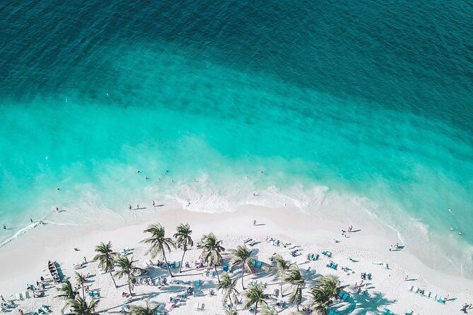 Saona island From Bayahibe - Start at the Port - Timing, group size, and what keeps the day feeling easy