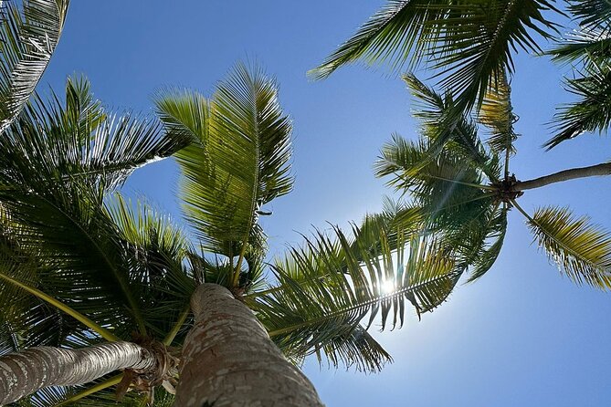 Saona Island from Punta Cana - Price and value: what $70 buys you in a full-day format