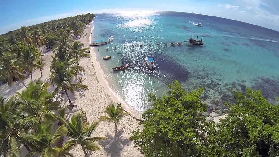 Saona Island from Punta Cana Day Trip with Open Bar - Playatao Beach: The Reserved Setup That Makes Relaxing Easy