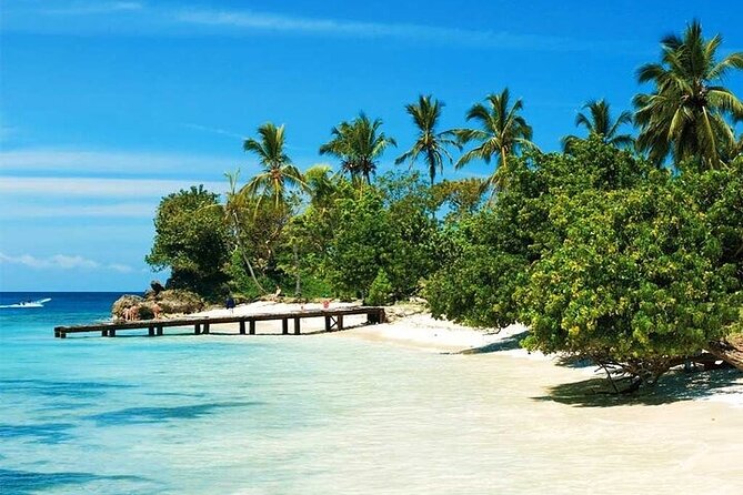 Saona Island from Punta Cana with Transportation and Lunch Included - Isla Saona beach time: unspoiled feel and a real lunch break
