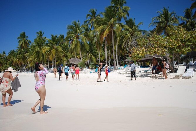 Saona Island Full Day Adventure From Punta Cana & Bavaro - Saona Island Day Trip from Punta Cana: what you’re really buying