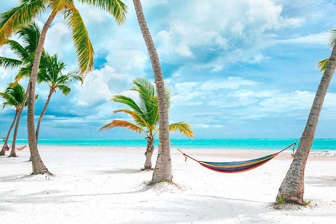 Saona Island Full Day Adventure From Punta Cana & Bavaro - Isla Saona natural pools and beach time: where the day pays off