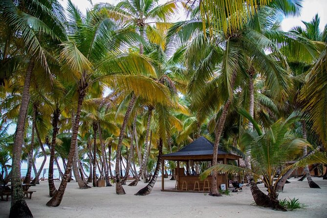 Saona Island Full Day Adventure From Punta Cana & Bavaro - Time on the clock: early pickup, long return, and comfort prep