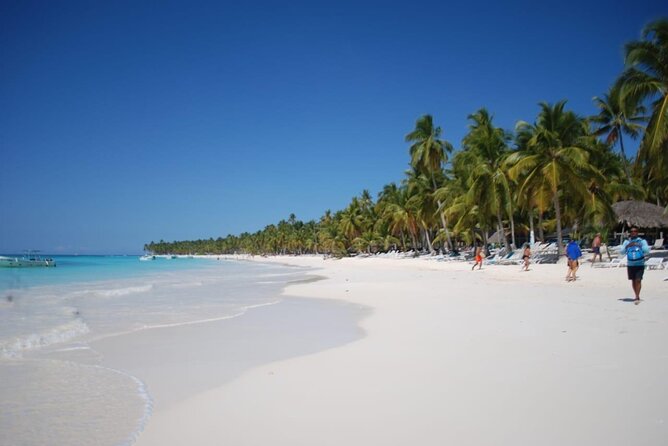 Saona Island Full Day Adventure From Punta Cana & Bavaro - Value check: is $79 fair for Saona Island?