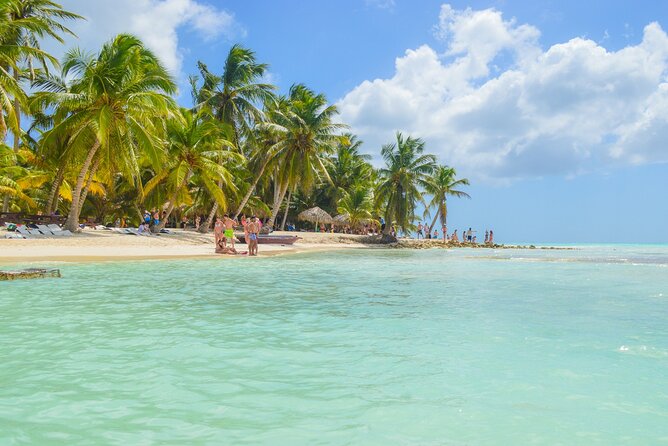 Saona Island Full-Day All-Inclusive Tour from Santo Domingo - Buffet lunch and included drinks: good value, with a few common compromises