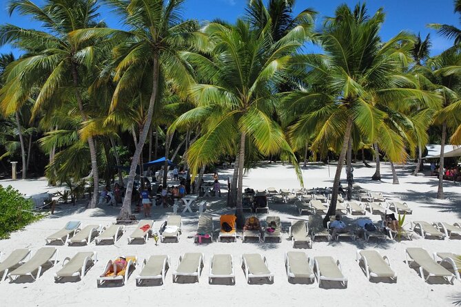 Saona Island: Full-day Catamaran Tour - Small Group - Key highlights I’d plan around