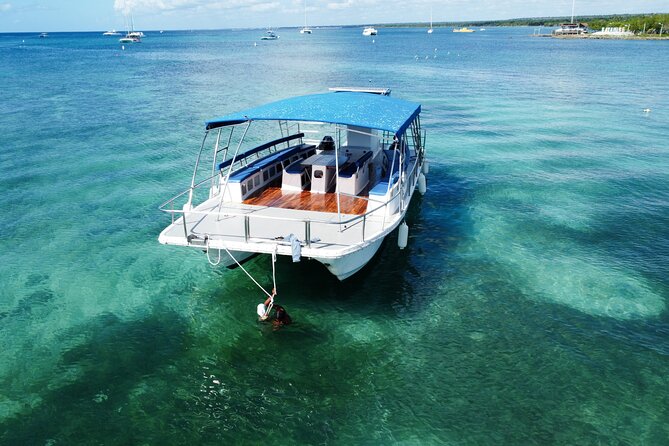 Saona Island: Full-day Catamaran Tour - Small Group - Las Palmillas natural pool: starfish spotting in shallow water