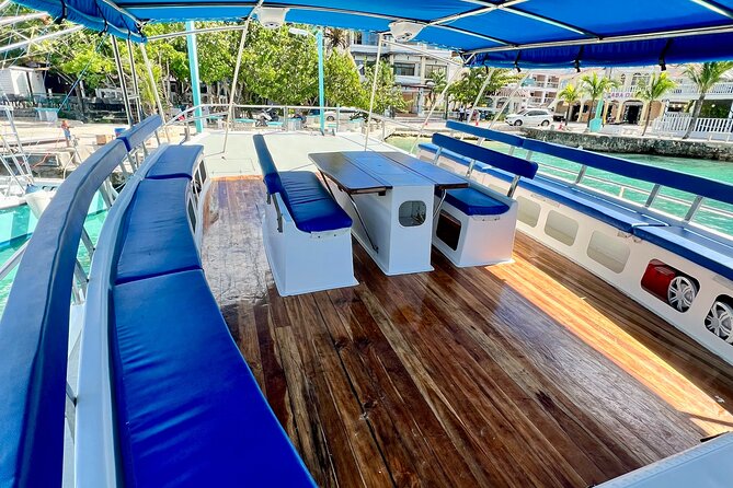 Saona Island: Full-day Catamaran Tour - Small Group - Food, drinks, and snorkeling gear: what you really get for $119