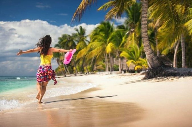 Saona Island Full-Day Excursion - Landing on Saona Island: snorkeling, beach time, and the volleyball option