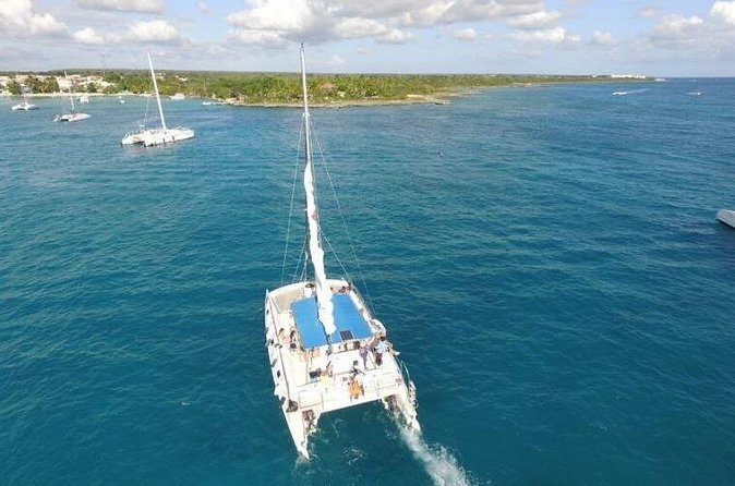 Saona Island Full-Day Excursion - Lunch and drinks: what you get, why it matters, and how to make it better