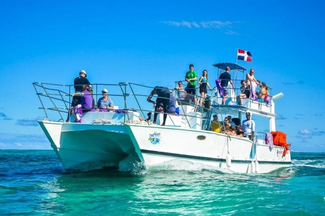 Saona Island Full-Day Excursion - Logistics and group flow: the part that decides whether your day feels smooth
