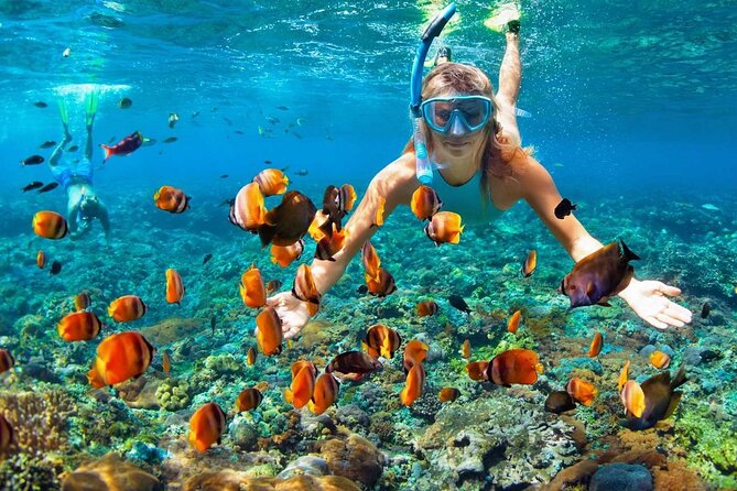 Saona Island Full Day Excursion from Punta Cana - Who This Works Best For (And Who Might Want Something Else)