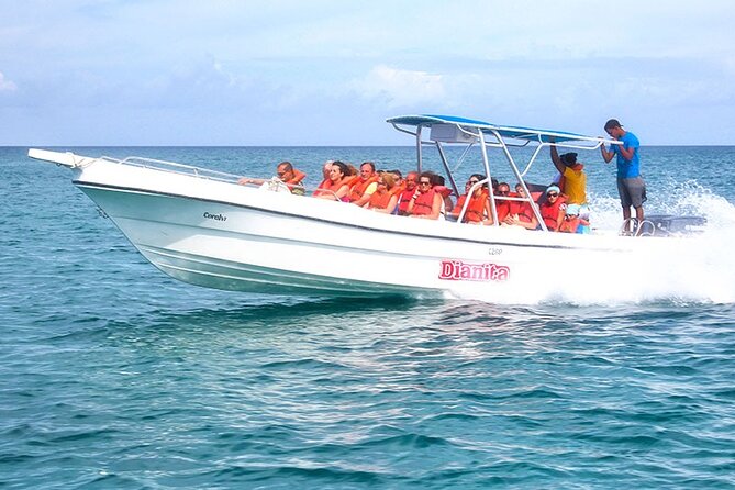 Saona Island Full Day Excursion from Punta Cana + Catamaran Party - Transportation and Crowds: What You Gain, What You Might Hate