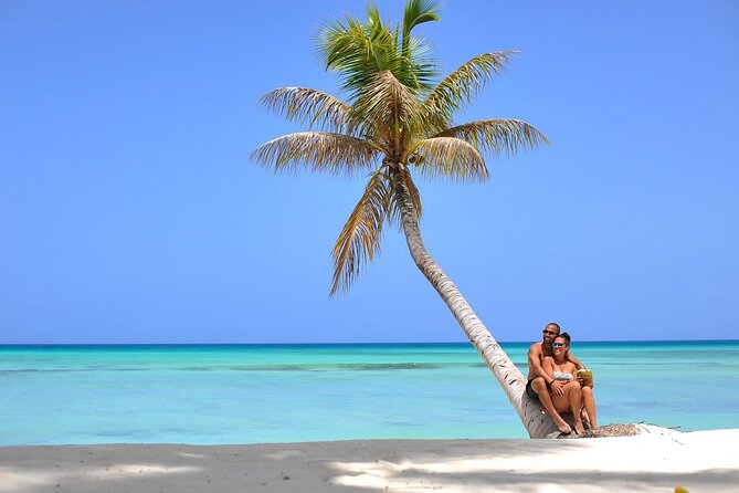 Saona Island Full Day Excursion from Punta Cana + Catamaran Party - Who This Tour Fits Best (And Who Should Rethink It)