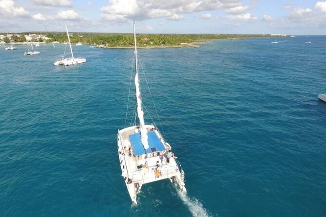 Saona Island Full-Day Excursion - The natural pool stop: your swim break and photo moment before the island