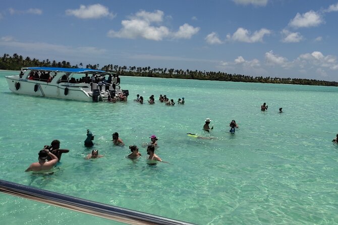 Saona Island Full Day From Punta Cana - Key highlights worth planning around