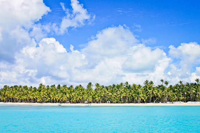Saona Island Full Day From Punta Cana - Speedboat to Saona, catamaran back: the ride experience you can actually plan for