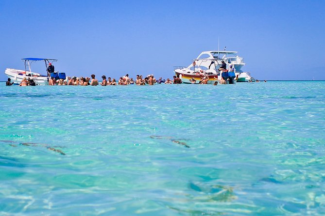 Saona Island Full Day From Punta Cana - Lunch, open bar, and what included actually feels like