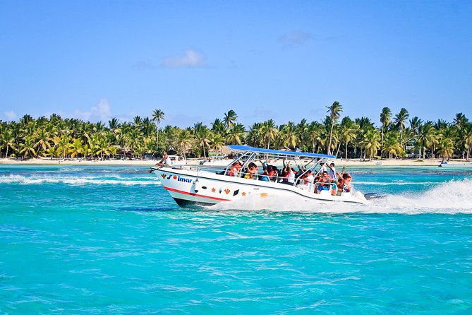 Saona Island Full Day From Punta Cana - Pickup and timing: how to protect your swimming hours