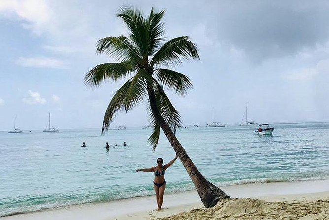 Saona Island Full Day From Punta Cana - Who should book this Saona Island tour, and who should skip it