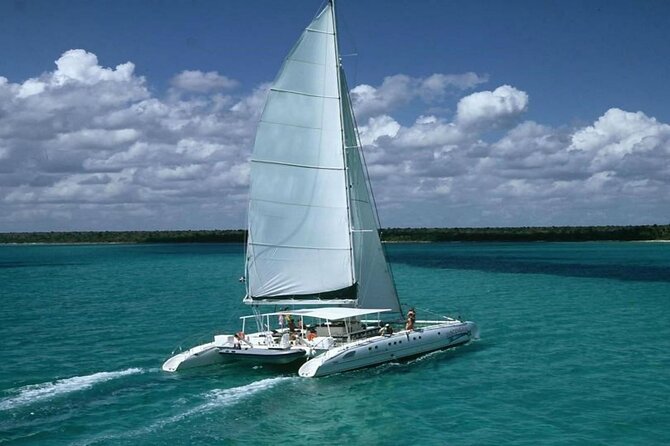 Saona Island Full Day Tour Lunch and Transportation Included - Key things to know before you go