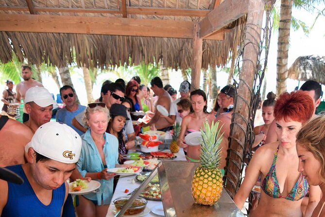 Saona Island Full Day Tour Lunch and Transportation Included - Isla Saona: Virgin beaches and a home-style lunch