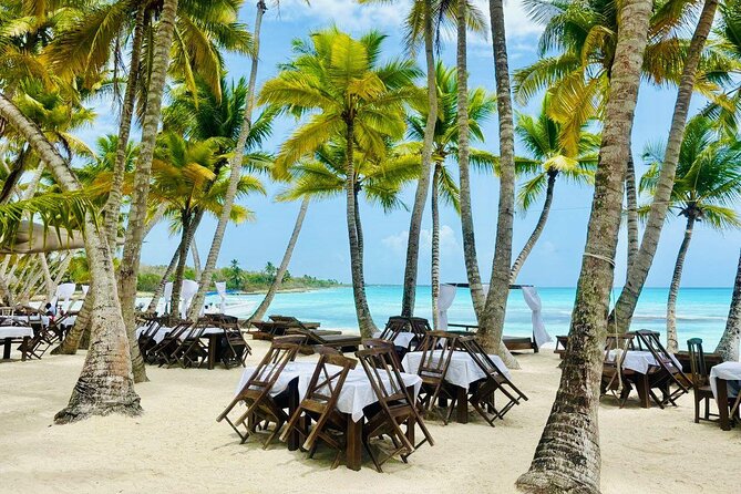 Saona Island Full Day Tour with Buffet Lunch, Paella, & Open Bar - Key things to know before you go