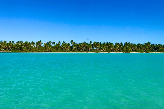 Saona Island Full Day Tour with Buffet Lunch, Paella, & Open Bar - Saona Island: beach time, snorkeling option, and a paella lunch with your own table