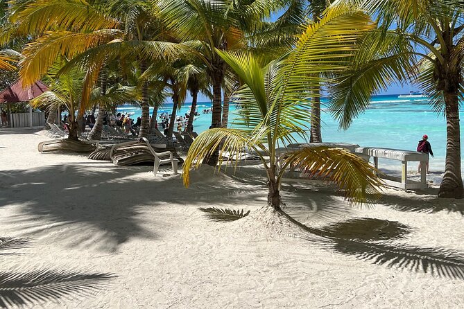 Saona Island Full Day Tour with Buffet Lunch, Paella, & Open Bar - Transportation timing and group size: why this tour feels smoother than DIY