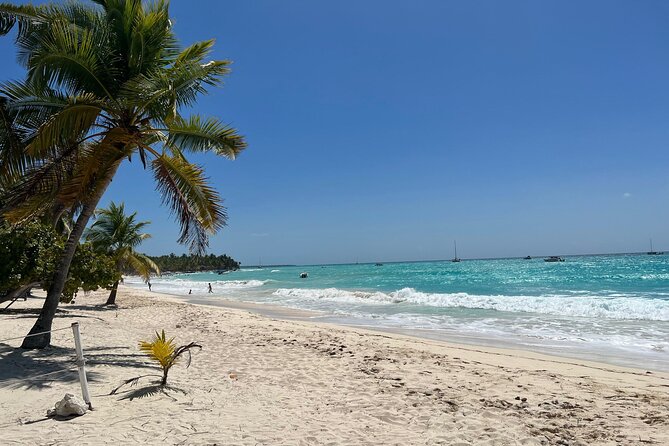 Saona Island Full Day Tour with Buffet Lunch, Paella, & Open Bar - Price and value: what you’re really paying for at about $75