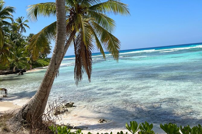 Saona Island Full Day Tour with Buffet Lunch, Paella, & Open Bar - Who this Saona day trip is best for