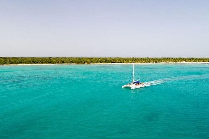 Saona Island Full-Day Tour with Lunch from Punta Cana - Getting to Bayahibe Without Stress, From Punta Cana or Bavaro