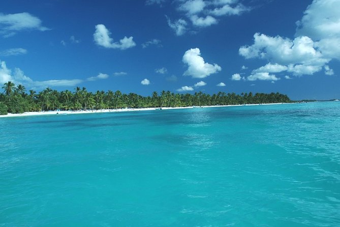 Saona Island Full-Day Tour with Lunch from Punta Cana - Saona Island Arrival: Palm Trees, White Sand, and Your Four-Hour Beach Plan