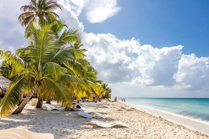 Saona Island Full-Day Tour with Lunch from Punta Cana - The Caribbean Natural Pool: The Swim Moment That Makes the Trip Feel Special