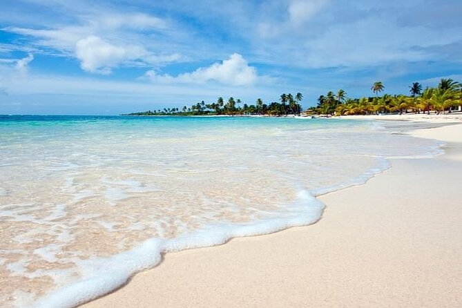 Saona Island Full-Day Tour with Lunch from Punta Cana - Crowds, Scheduling, and How to Make the Day Feel Worth It