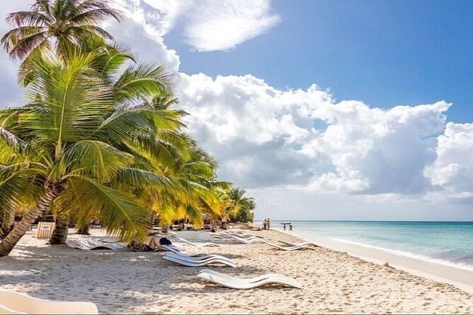 Saona Island Full-Day Tour with Lunch from Punta Cana - Catamaran Cruise Out, Swim Stops Along the Way, and Why the Boat Mix Works