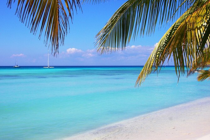 Saona island full day tours - catamarán party from santo domingo - Speedboat Out to Saona: Fast Water, Clear Views