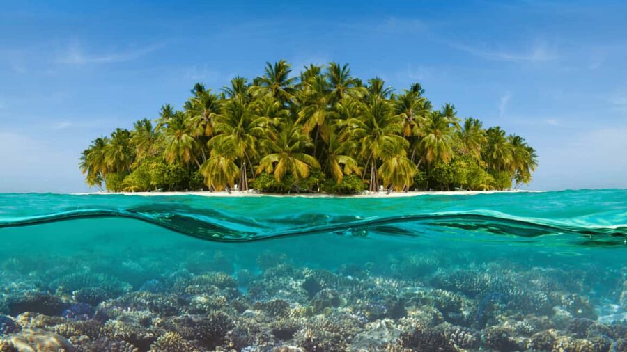 Saona Island: Hidden Beach & Natural Pool - Entering the day: pickups, coach time, and why timing feels personal