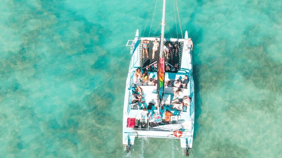Saona Island: Hidden Beach & Natural Pool - What the guide does, and what languages feel like