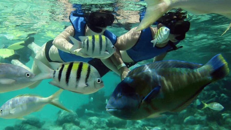 Saona Island: Hidden Beach & Natural Pool - Shopping and sightseeing: quick stops, not a full market day