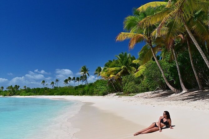 Saona Island, memorable all-inclusive experience, from Santo Domingo. - Key things I’d lock in before you go