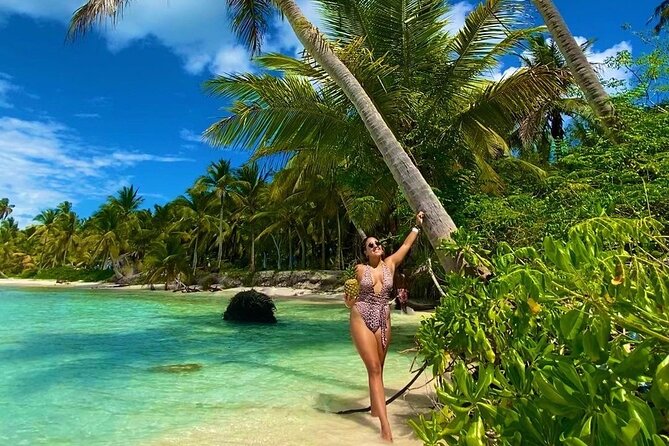 Saona Island, memorable all-inclusive experience, from Santo Domingo. - Saona Island feels like a full day escape from Santo Domingo