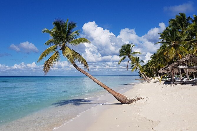 Saona Island, memorable all-inclusive experience, from Santo Domingo. - Natural pool stop: mangroves, fish spotting, and a calmer reset