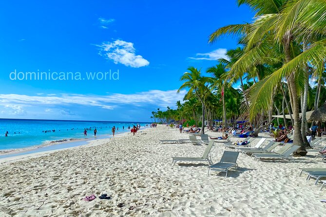Saona Island, Natural pool Starfish, Fast boat, Catamaran +Dances - Getting to Bayahibe: the calm start that sets the tone