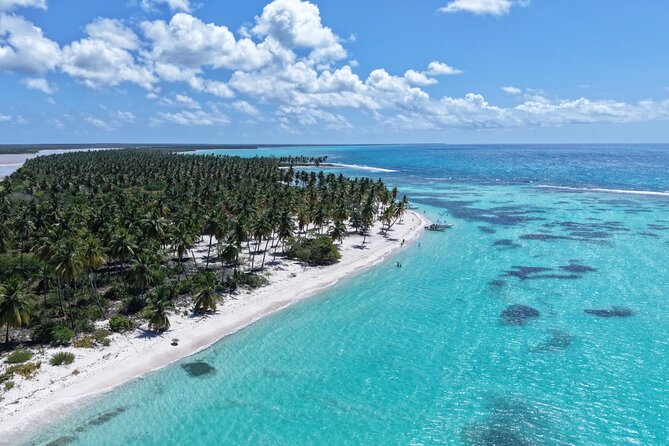 Saona Island Premium Discovery Tour from Punta Cana or Bayahíbe - Key Highlights You’ll Actually Care About