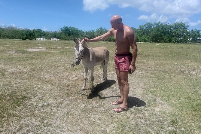 Saona Island Premium Discovery Tour from Punta Cana or Bayahíbe - Piscina Natural Saona: Your Main Swim Break
