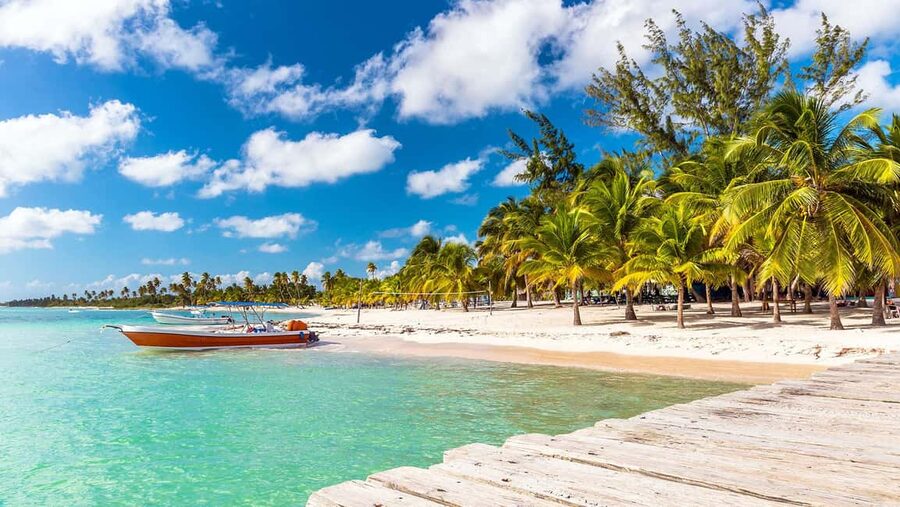 Saona Island Premium- Exclusive Beach And Mano Juan FullDay - Mangroves on the way in: the quiet ecosystem moment