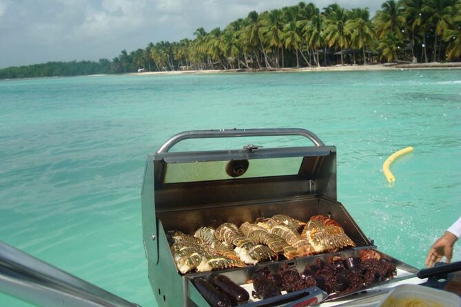 Saona island - Private Tour with a Luxury Speed Boat - Saona Island Beach Time: 2 Hours on the Island, Not in Transit