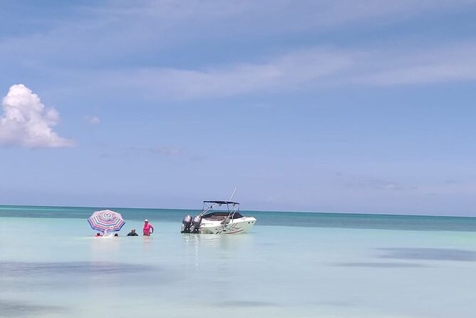 Saona island - Private Tour with a Luxury Speed Boat - Las Palmillas Natural Pools at Palmilla: Shallow-Water Fun and Starfish Chances