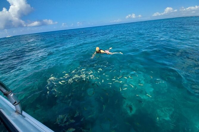 Saona island - Private Tour with a Luxury Speed Boat - Food and Drinks on the Boat: Snacks, Beer, Rum, and a Real Reason to Stay Hydrated